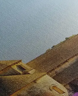 Obrazy mestá Obraz Provensálsko s levanduľovými poľami