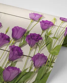 Samolepiace tapety Samolepiaca fototapeta nádherné fialové kvety