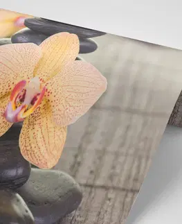 Tapety Feng Shui Fototapeta orchidea a Zen kamene