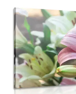 Obrazy kvetov Obraz rozkvitnuté ľalie v záhrade
