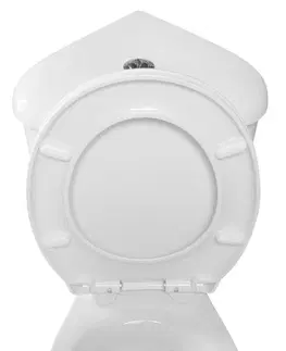 Kúpeľňa AQUALINE - CLIFTON Rohový WC kombi misa s nádržkou vrátane splachovacej súpravy, biela FS1PK