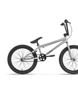 Bicykle BMX bicykel Galaxy Early Bird 20" - model 2020 strieborná