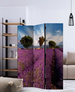 Paravány Paraván Lavender field in Provence, France Dekorhome 135x172 cm (3-dielny)