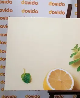 Obrazy jedlá a nápoje Obraz citróny s mätou