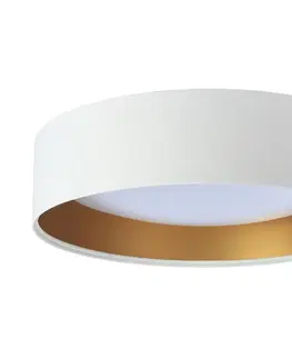 Svietidlá  LED Stropné svietidlo GALAXY 1xLED/24W/230V biela/zlatá 