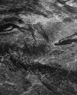 Čiernobiele obrazy Obraz tvár leva v čiernobielom prevedení