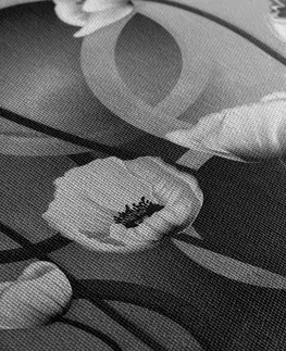 Čiernobiele obrazy Obraz maky na abstraktnom pozadí v čiernobielom prevedení