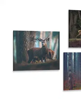 Zostavy obrazov Set obrazov čaro lesných zvierat