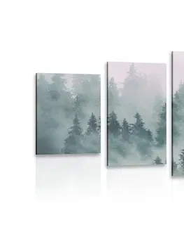 Obrazy prírody a krajiny 5-dielny obraz hory v hmle