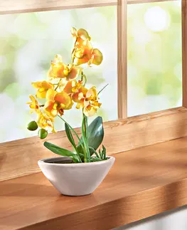 Drobné dekorácie a doplnky Orchidea "Phalaenopsis"
