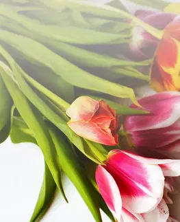 Tapety kvety Fototapeta kytica tulipánov