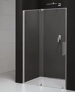 Sprchovacie kúty POLYSAN - ROLLS LINE sprchové dvere 1600, výška 2000, číre sklo RL1615