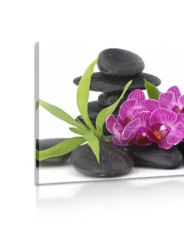 Obrazy Feng Shui Obraz fialová orchidea v Zen zátiší