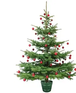 Vianočné dekorácie Stojan na vianočný stromček Planet 2 zelena 