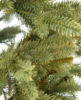 Vianočné stromčeky NABBI Christee 2 vianočný stromček 220 cm zelená
