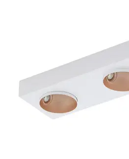 Svietidlá Eglo Eglo 39374 - LED Stmievateľné stropné svietidlo RONZANO 2xLED/3,3W/230V 