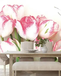 Tapety kvety Fototapeta jarné tulipány