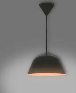 Moderné lampy do obývačky Luster P17202-D30 LW1