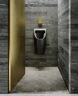 Kúpeľňa GSI - COUNITY urinál so zakrytým prívodom vody 31x65cm, čierna mat 909726