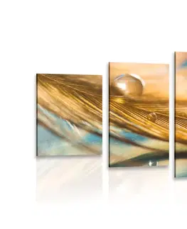 Obrazy zátišie 5-dielny obraz kvapka vody na zlatom pierku