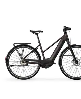 elektrobicykle Mestský elektrický bicykel LD 920E s nízkym rámom a motorom Owuru