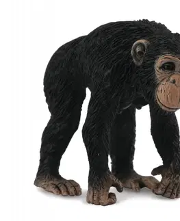 Hračky - figprky zvierat COLLECTA - Šimpanz - samica