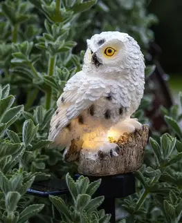 Solárne dekoračné osvetlenie STAR TRADING Solárne LED svietidlo Owl s hrotom do zeme