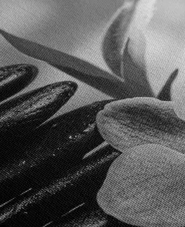 Čiernobiele obrazy Obraz meditačná Zen kompozícia v čiernobielom prevedení