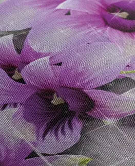 Obrazy kvetov Obraz fialové kvety na abstraktnom pozadí