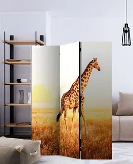 Paravány Paraván giraffe - walk Dekorhome 135x172 cm (3-dielny)