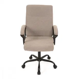 Kancelárske stoličky Kancelárske kreslo KA-Y391 Autronic Čierna