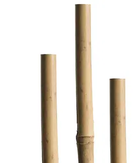 Konštrukcie pre popínavé rastliny Tyč Tonkin 120 cm, 8/10 mm, 5 ks – 05608