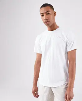 bedminton Pánske tenisové tričko Dry Matter of Lines krátky rukáv béžové