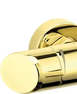 Kúpeľňové batérie DEANTE - Arnika zlato - Sprchová batéria BQA_Z40M