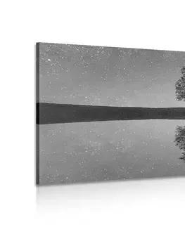 Čiernobiele obrazy Obraz hviezdna obloha nad osamelým stromom v čiernobielom prevedení