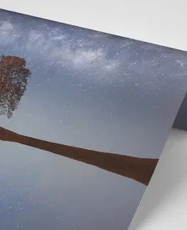 Samolepiace tapety Samolepiaca fototapeta hviezdna obloha nad osamelým stromom