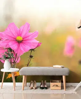 Samolepiace tapety Samolepiaca fototapeta rozkvitnutý ružový kvet