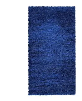 Moderné koberce Koberec Shaggy Dream 6106 1.33/1.9 námornícka modrá