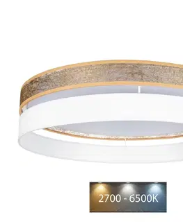 Svietidlá  LED Stmievateľné stropné svietidlo LIMA LED/36W/230V Wi-Fi Tuya + DO biela/zlatá 