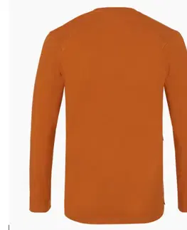 Pánská trička Pánske tričko Salewa s dlhým rukávom Puez Hemp 28395-4170 autumnal L