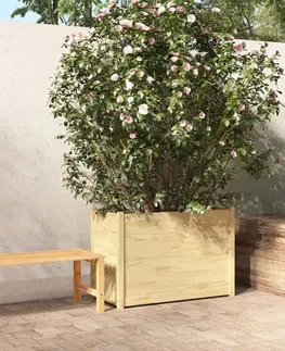 Vyvýšené záhony Záhradný kvetináč borovice Dekorhome Borovica