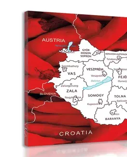 Obrazy mapy Obraz mapa Maďarska s typickým pozadím