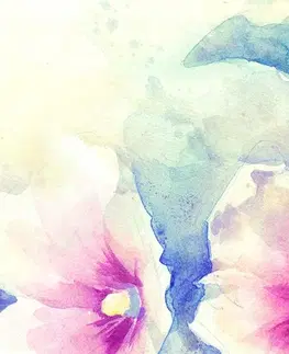 Obrazy kvetov Obraz kvety v ružovom akvarely