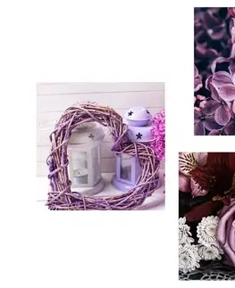 Zostavy obrazov Set obrazov levanduľové zátišie s kvetinami