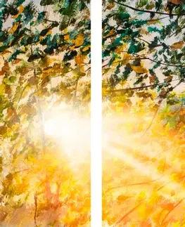 Obrazy prírody a krajiny 5-dielny obraz východ slnka v lese