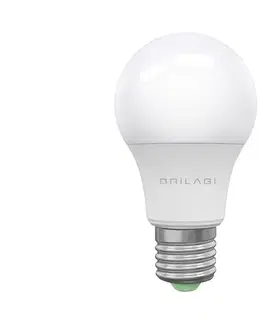 LED osvetlenie Brilagi LED Žiarovka ECOLINE A60 E27/15W/230V 3000K - Brilagi 