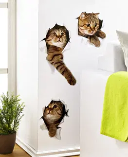 Drobné dekorácie a doplnky 3 samolepky na stenu "Mačky"