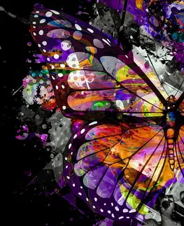 Pop art obrazy Obraz neobyčajný motýľ