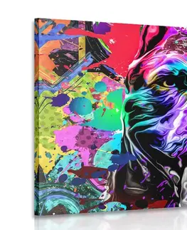 Pop art obrazy Obraz pestrofarebná ilustrácia psa