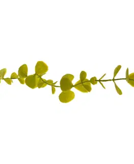 Kvety Umelý krík drobnolistý Eukalyptus, sv. zelená, 120 cm